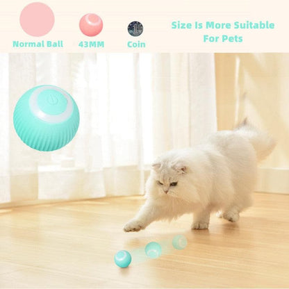 Smart Cat Ball Toys - ViralAndTrends